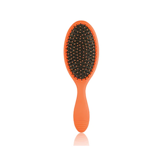 Rainbow Detangler Brush
