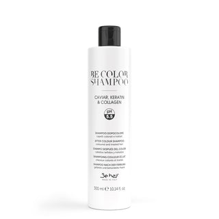 BeColor Shampoo